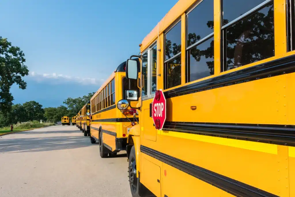 Yellow school buses lined up