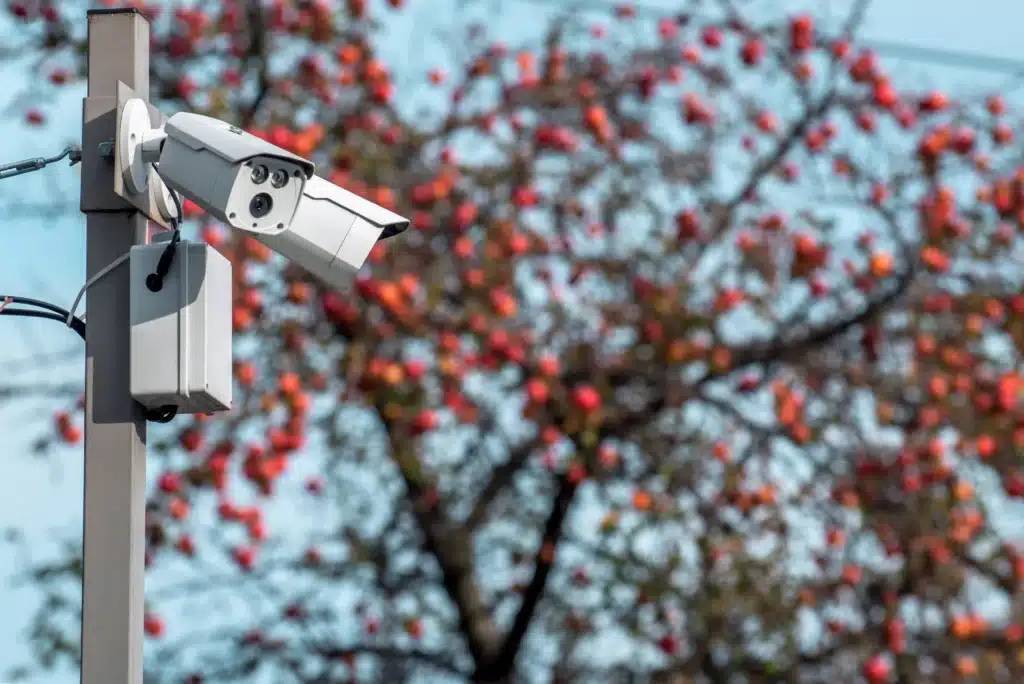 Street cameras on a pole